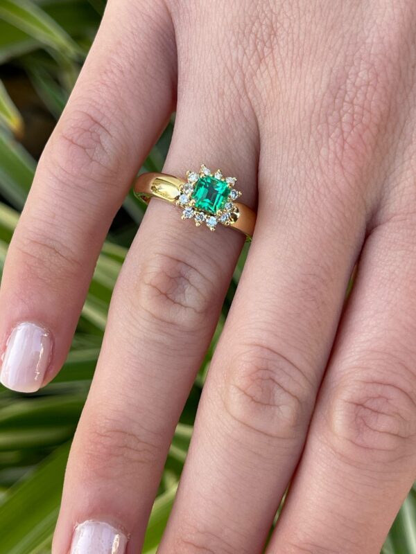 228ff1f0-22cd-4a0e-b015-fa5c5943dc3e aq10 roseta esmeralda