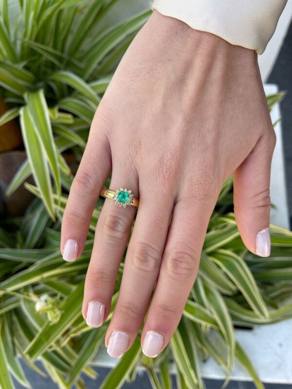 a7e7f553-8bce-4317-b89d-d01e924ea9ba aq10 roseta esmeralda