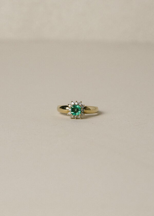 aq10 roseta esmeralda