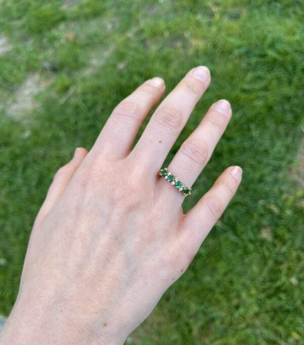 IMG_0323 aq24 media alianza esmeralda